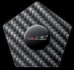 QianLi Carbon fiber Prying Tools A Pentagon Shaped