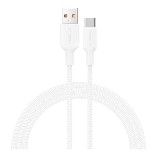 RECCI RS46C 100W Charging cable